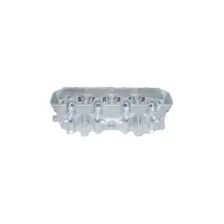 ERR5027