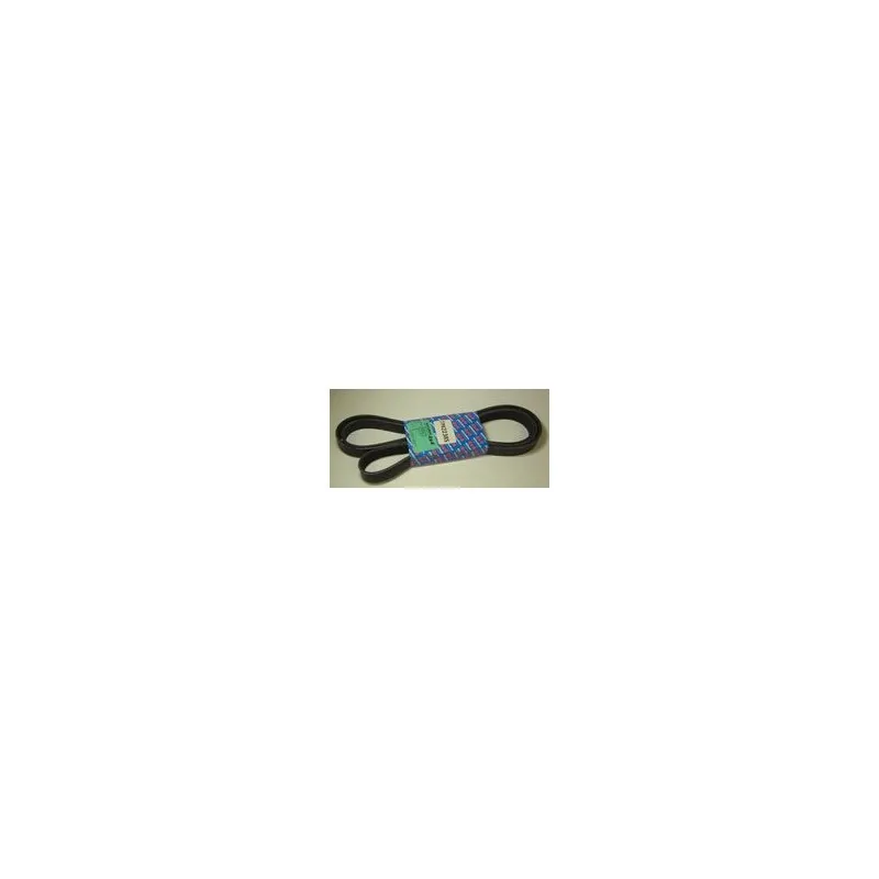 ERR5579