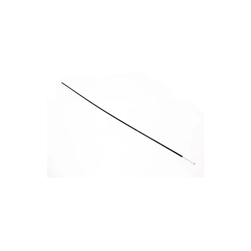 FSE000041
