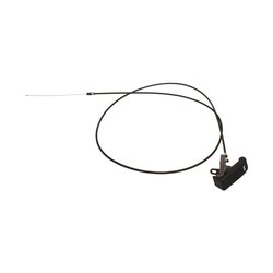 FSE100460