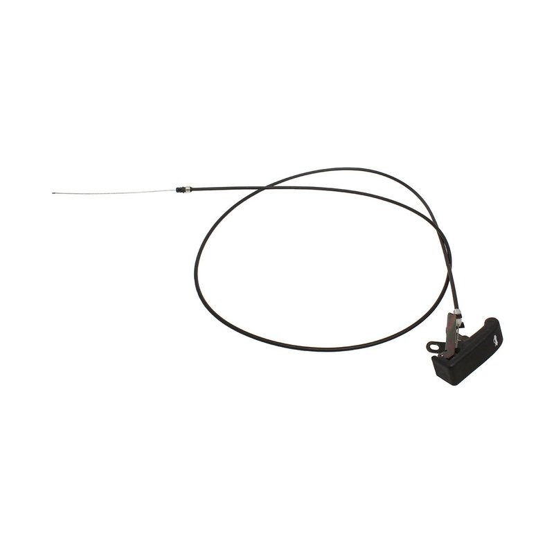 FSE100460