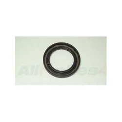 ICV100000G