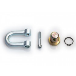 Eyebolt swivel hook