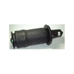 FRONT SPRING AIR SUSPENSION P38A, Dunlop