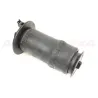 REAR SPRING AIR SUSPENSION P38A, Dunlop