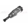 Komplett bak med demper og belg. (DUNLOP)