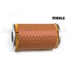 Oil Filter Element P38 Diesel