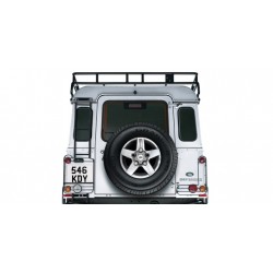 Ladder for Defender