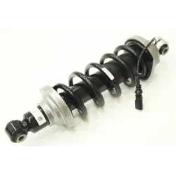 SHOCK ABSORBER - REAR - AUDI MSS