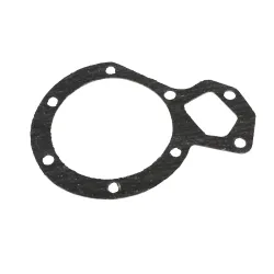 LARGE GASKET FOR 269974