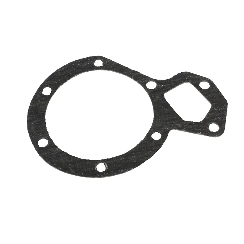 LARGE GASKET FOR 269974
