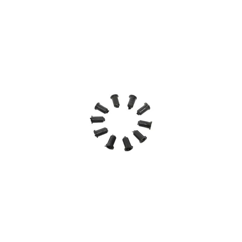 BUSH