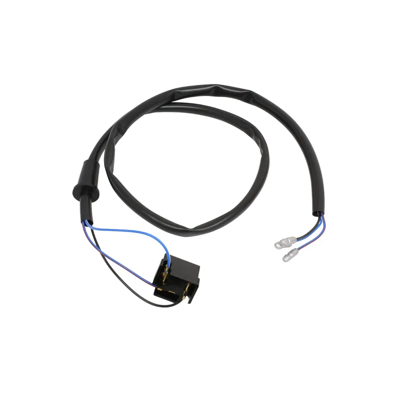 PLUG AND HARNESS