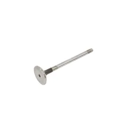 VALVE - INLET - DIESEL