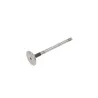 VALVE - INLET - DIESEL