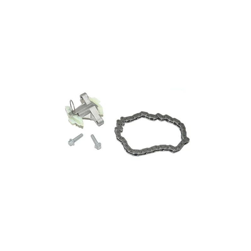 TIMING CHAIN