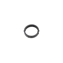 Water Outlet Seal