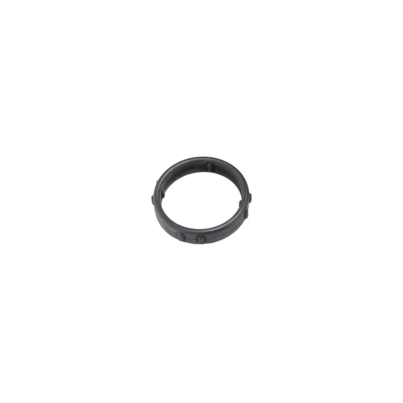 Water Outlet Seal