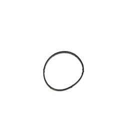 THERMOSTAT SEAL