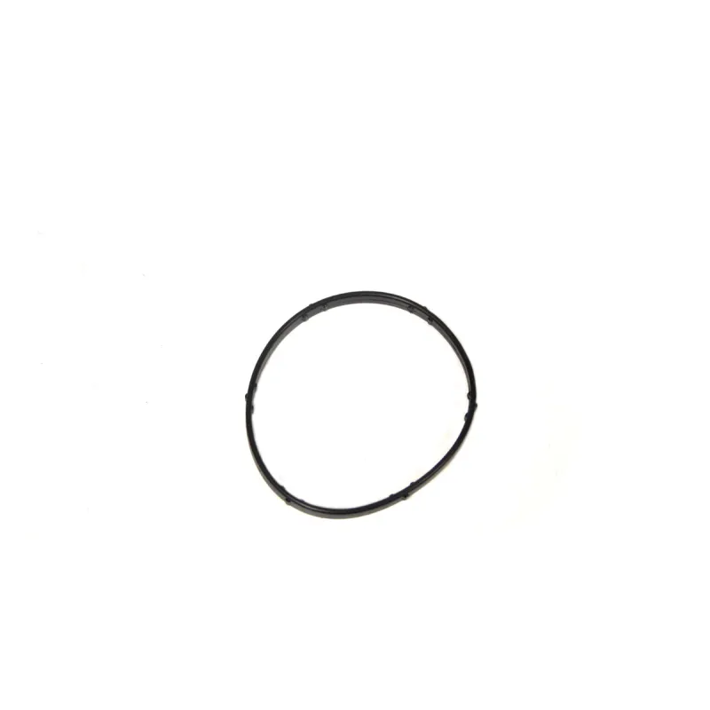 THERMOSTAT SEAL