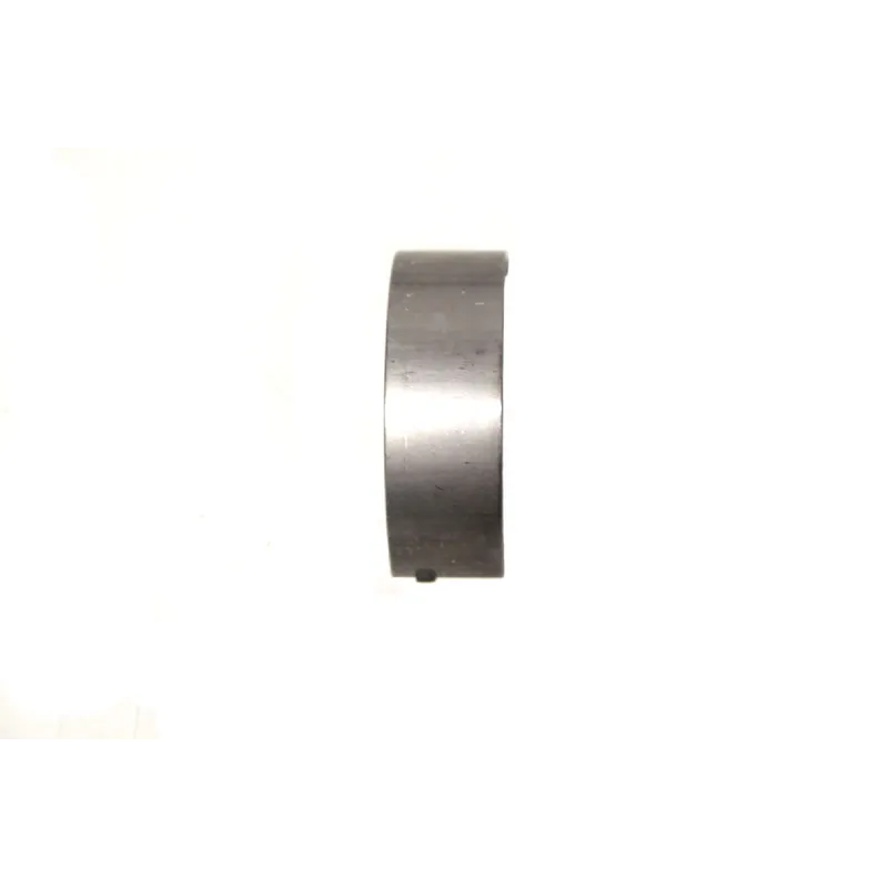 BEARING MAIN  BLUE UPPER