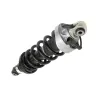 REAR- COIL OVER - SHOCK - R8