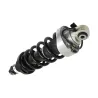 REAR- COIL OVER - SHOCK - R8