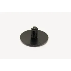 CLIP