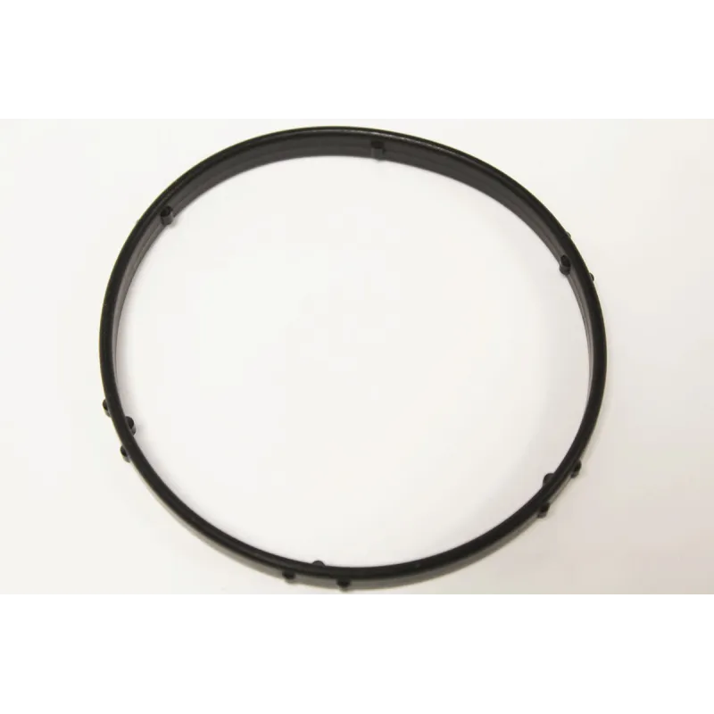 THERMOSTAT SEAL