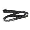 DRIVE BELT