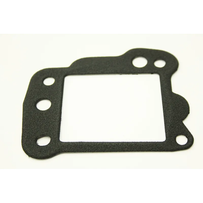 EGR GASKET