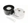 BELT TENSIONER