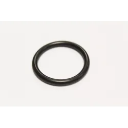 WATER OUTLET SEAL