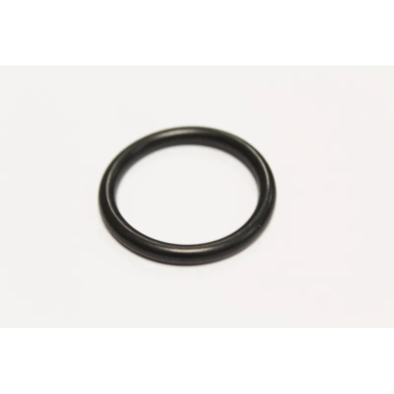 WATER OUTLET SEAL