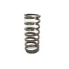 SPRING - COIL