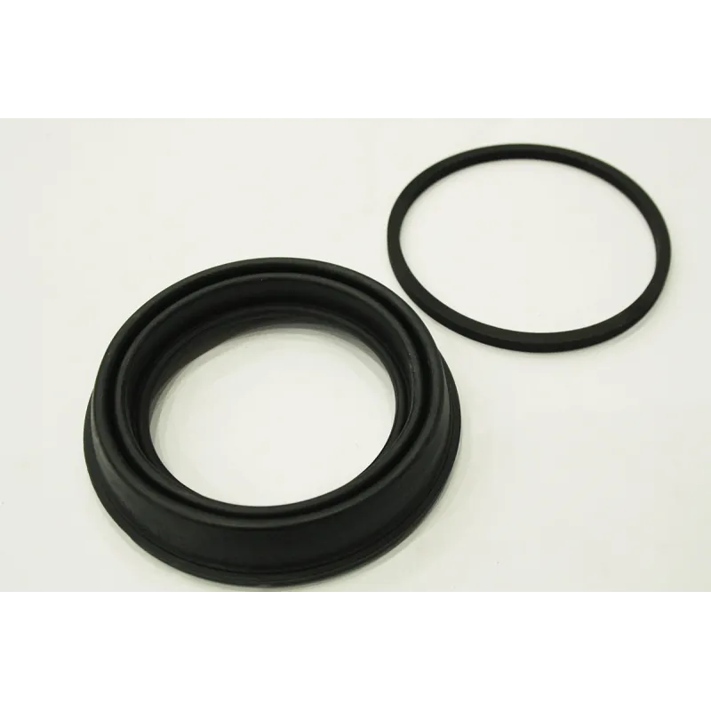 CALIPER SEAL KIT