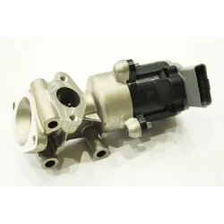 EGR VALVE ASSY