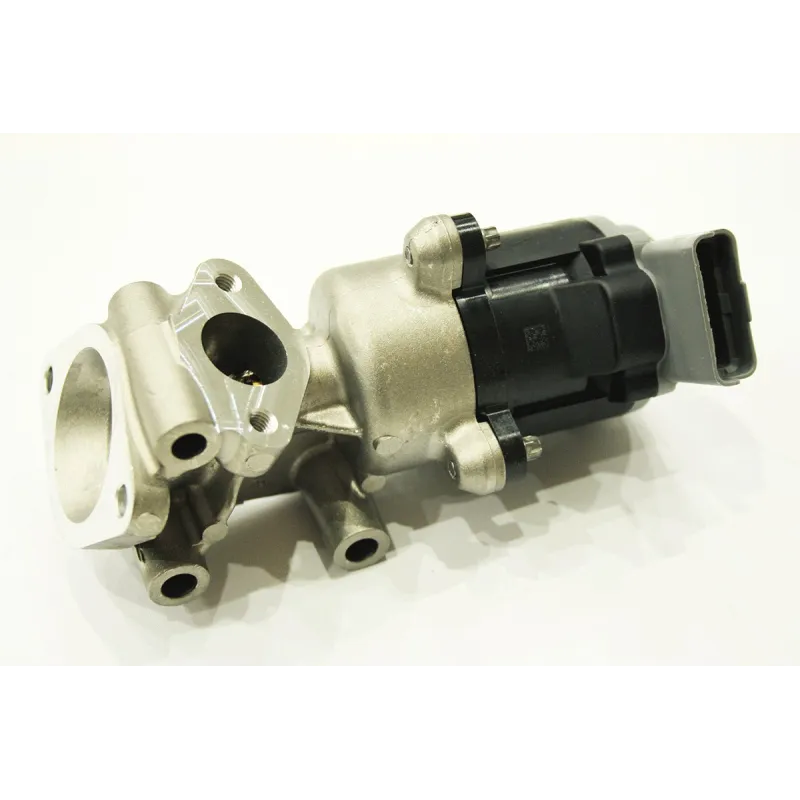 EGR VALVE ASSY
