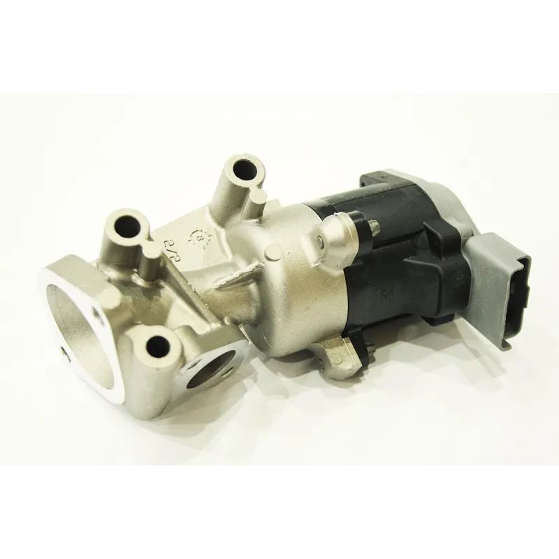 EGR VALVE ASSY