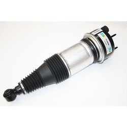 AIR SPRING & DAMPER ASSY