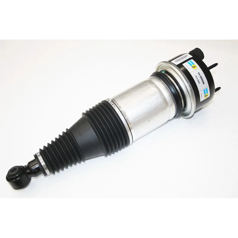 AIR SPRING & DAMPER ASSY