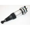 AIR SPRING & DAMPER ASSY