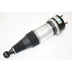 AIR SPRING & DAMPER ASSY