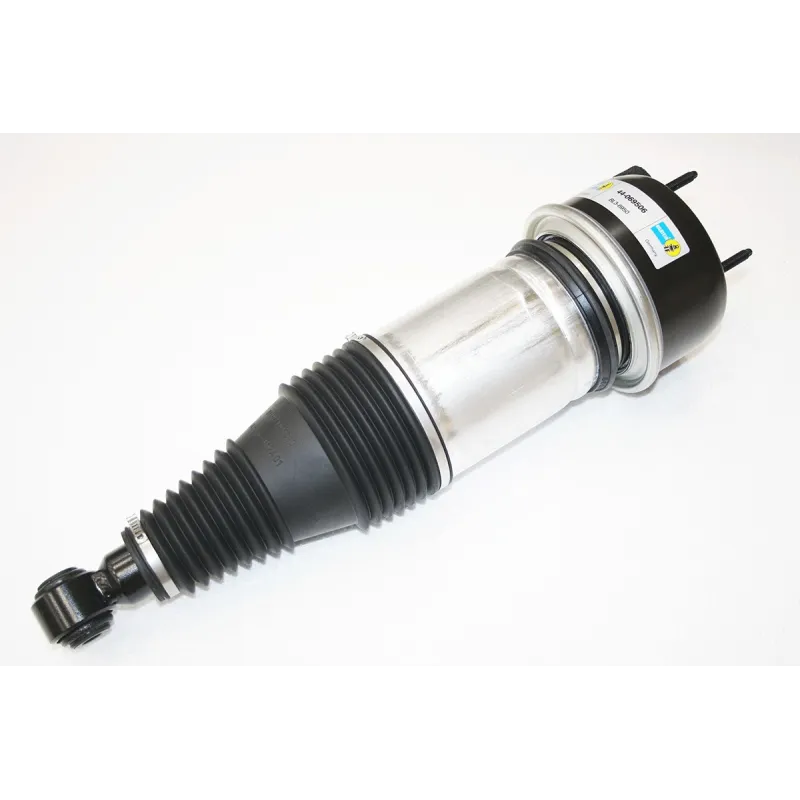 AIR SPRING & DAMPER ASSY