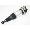 AIR SPRING & DAMPER ASSY