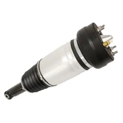 SHOCK ABSORBER & AIR SPRING