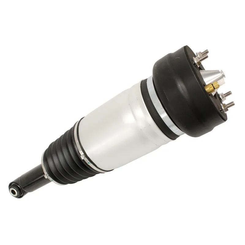 SHOCK ABSORBER & AIR SPRING