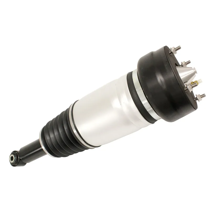 SHOCK ABSORBER & AIR SPRING