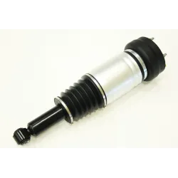 AIR SPRING & DAMPER ASSY