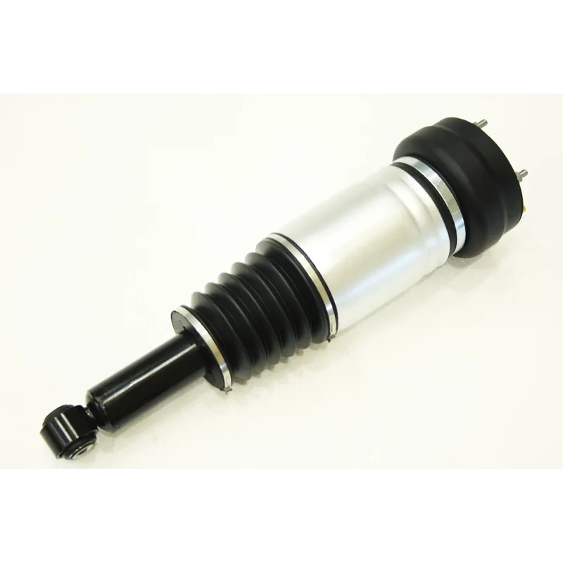 AIR SPRING & DAMPER ASSY